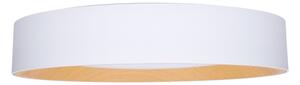 Solight WO8017 - LED Stm. strop. svietidlo LARIOS LED/48W/230V+DO pr.39 cm biela