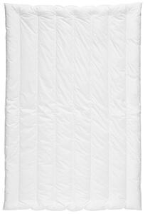CELOROČNÁ PRIKRÝVKA, 135/200 cm, polyester Centa-Star - Prikrývky & vankúše, Online Only