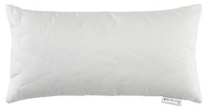 VANKÚŠ POD HLAVU, 40/80 cm Centa-Star - Prikrývky & vankúše, Online Only
