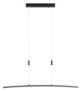 Paul Neuhaus Paul Neuhaus 2530-13 - LED Stmievateľný luster na lanku JANINA LED/27W/230V W2207 + záruka 3 roky zadarmo