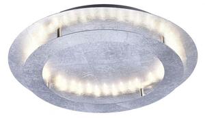Paul Neuhaus Paul Neuhaus 9621-21 - LED Stropné svietidlo NEVIS LED/24W/230V W2284 + záruka 3 roky zadarmo