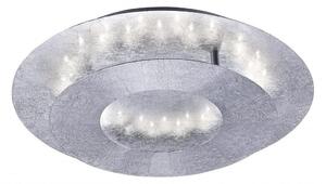 Paul Neuhaus Paul Neuhaus 9011-21 - LED Stropné svietidlo NEVIS LED/6W/230V strieborná W2278 + záruka 3 roky zadarmo