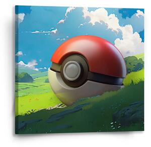 Sablio Obraz Pokemon ball Krajina - 50x50 cm