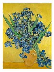 Reprodukcia obrazu Vincenta van Gogha - Irises, 60 × 45 cm