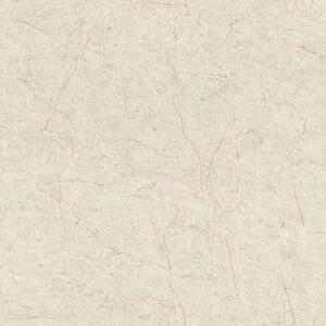 RASCH | Vliesová tapeta na stenu Schöner Wohnen 600964 | 0,53 x 10,05 m | šedá, béžová