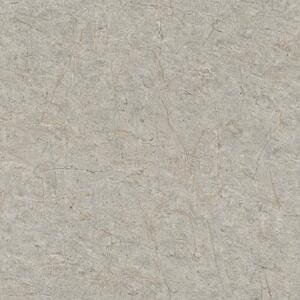 RASCH | Vliesová tapeta na stenu Schöner Wohnen 600988 | 0,53 x 10,05 m | šedá, zlatá
