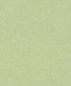 RASCH | Vliesová tapeta na stenu Paraíso 330052 | 0,53 x 10,05 m | zelená