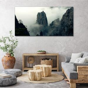 Obraz canvas Mountain fog hmlou strom mraky