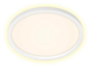 Briloner Briloner 7363-016 - LED Stropné svietidlo CADRE LED/22W/230V pr. 42,5 cm biela BL0920 + záruka 3 roky zadarmo