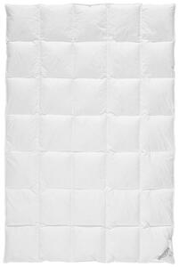 CELOROČNÁ PRIKRÝVKA, 135/200 cm, kačacie páperie, kačacie perie Sleeptex - Prikrývky & vankúše, Online Only