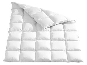 ZIMNÁ PRIKRÝVKA, 220/240 cm, kačacie páperie, kačacie perie Sleeptex - Prikrývky & vankúše, Online Only