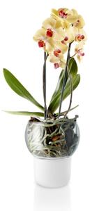 Samozavlažovací kvetináč s orchideou Frosted Big