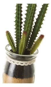 Umelé rastliny v súprave 4 ks (výška 18 cm) Cactus – Casa Selección
