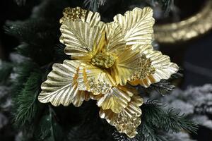 Zlatá lesklá vianočná ruža 24cm