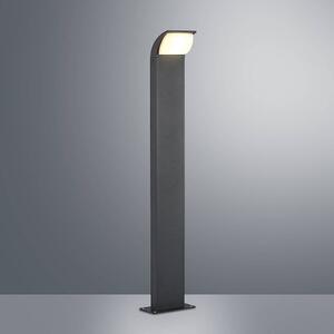 Lucande - Tinna LED Záhradná Lampa H80 Anthracite Lucande - Lampemesteren