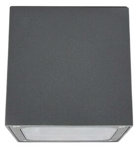 Lucande - Tanea LED Vonkajšie Stropné Lampa 12x12 Dark Grey - Lampemesteren