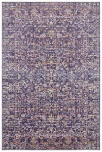 Nouristan - Hanse Home koberce Kusový koberec Cairo 105593 Sues Grey Multicolored – na von aj na doma - 240x340 cm