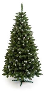 Limpol Vianočný stromček borovica Iza 2,40 m