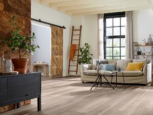 MFLOR Broad leaf Smoky sycamore 41817 - 3.37 m2