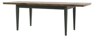 Jedálenský stôl Elvina Typ 92 (tmavozelená + dub lefka) (pre 8 a viac osôb). Vlastná spoľahlivá doprava až k Vám domov. 1022386