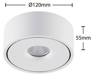 Arcchio - Ranka LED Stropné Lampa 11,8W White - Lampemesteren