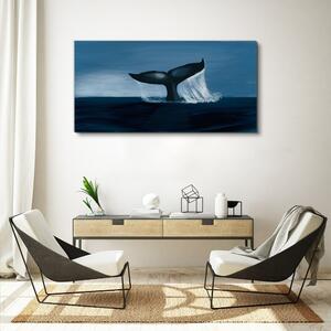Obraz Canvas Veľryba zvierat mora