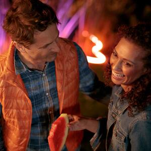Philips Hue - Hue Outdoor Lightstrip 2m White/Color Amb. Philips Hue - Lampemesteren