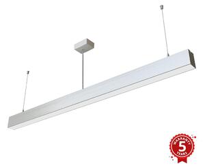 APLED APLED - LED Luster na lanku LOOK LED/46W/230V 4000K 120 cm strieborná AP0122 + záruka 3 roky zadarmo