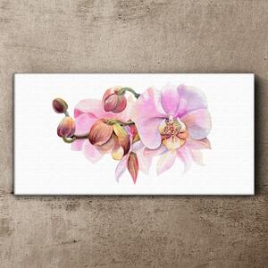 Obraz Canvas Akvarel orchidea kvetina