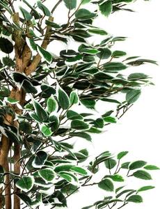 PLANTASIA 27406 Umelý strom rastlina - fikus - 160 cm