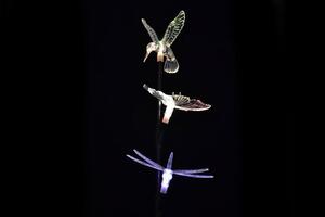 Garthen 539 Dekoratívne záhradné solárne LED osvetlenie - motýľ, kolibrík, vážka