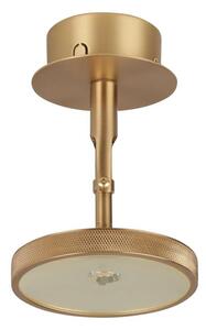 UMAGE - Asteria Spot Stropné Lampa Plated Brass Umage - Lampemesteren