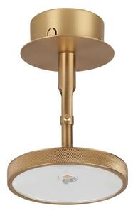 UMAGE - Asteria Spot Stropné Lampa Plated Brass Umage - Lampemesteren