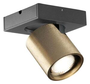 LIGHT-POINT - Focus Mini 1 LED Stropné Lampa 3000K Brass Light-Point - Lampemesteren