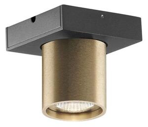 LIGHT-POINT - Focus Mini 1 LED Stropné Lampa 3000K Brass Light-Point - Lampemesteren