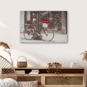 Divero 74522 Nástenná maľba bicykel s vianočnou hviezdou, 40 x 60 cm