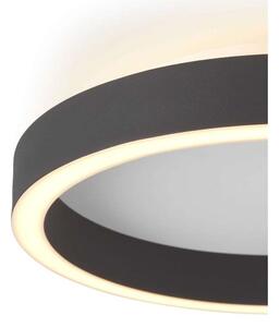 Halo Design - Memory LED Stropné Lampa String 3-Step Ø30 Black Halo Design - Lampemesteren