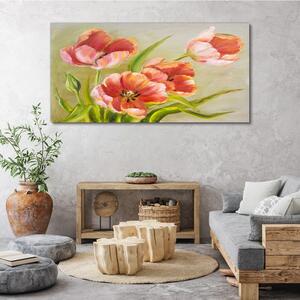 Obraz canvas Kvety rastlín listy