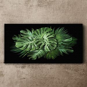 Obraz na plátne rastlinné listy