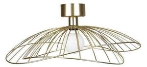 Globen Lighting - Ray Stropné Lampa/Nástenné Svietidlo Brass Globen Lighting - Lampemesteren
