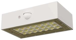 LED solárne svietidlo BRIXO so senzorom pohybu, 350lm, 4000K (ZG161S)