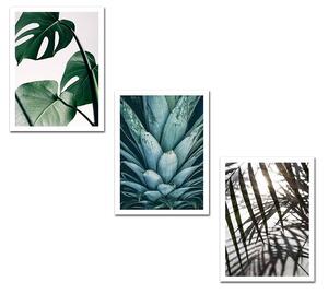 (3715) PLANTS nástenný obraz MDF (3 kusy)