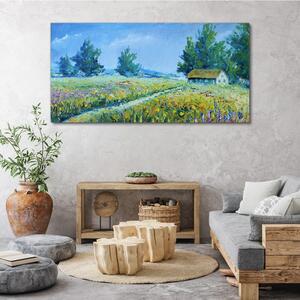 Obraz canvas Krajina krajina kvety Chata