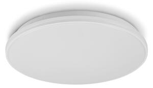 LIVARNO home Stropné LED svietidlo (100369658)