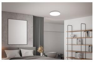 LIVARNO home Stropné LED svietidlo (100369658)