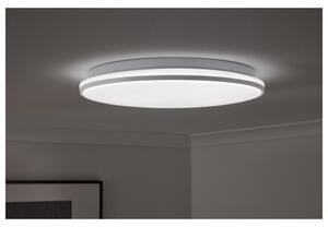 Livarno home Stropné LED svietidlo (100369658)