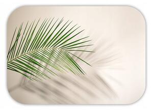 Prestieranie Greeen palm