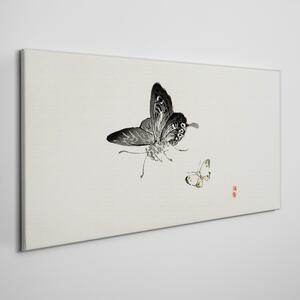 Obraz Canvas Moderné hmyz motýľ