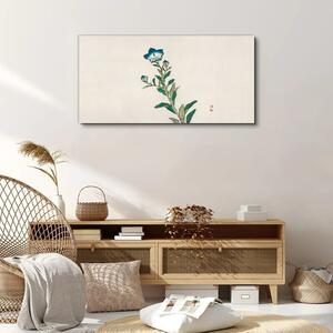Obraz Canvas Ázijské kvety rastliny