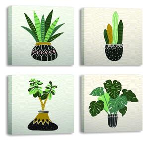 Obrazy v súprave 4 ks 30x30 cm Plants - Wallity